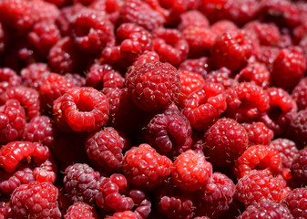 Raspberry