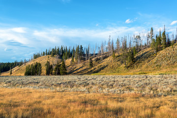 Landscape in Pelican Valley © jkraft5