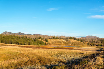 Obraz premium Pelican Valley Landscape at Yellowstone