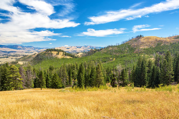 Landscape in Yellowstone National Park