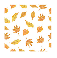 Autumn leaf, leaves, watercolor, seamless texture on white background. Autumn background.