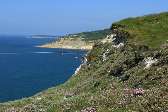 Chalk cliffs overlooking Alum Bay