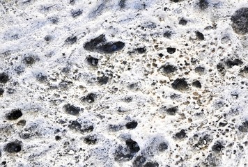 closeup of dried coral for background