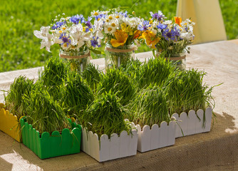 Wild flowers in a glass jar and herbs in pots on a table. tamein