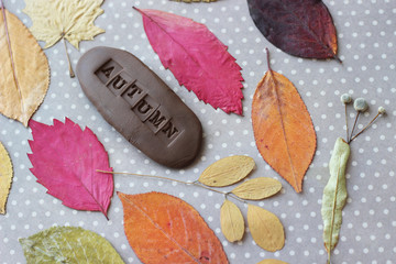 Autumn background. dry leaves and word autumn.

