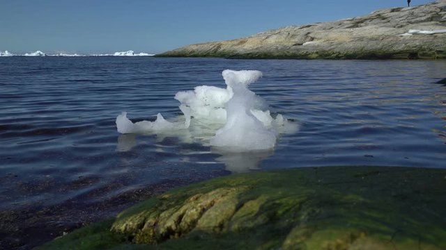Icebergs are moving on the arctic ocean, its short film of glaciers.