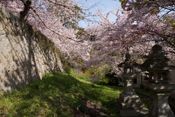 金比羅参りの参道