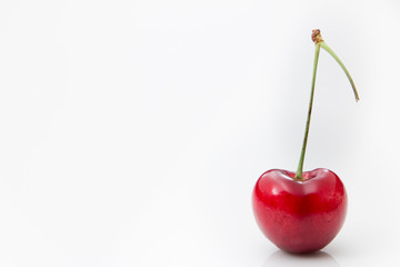 Cherry and stem isolated on a white background.