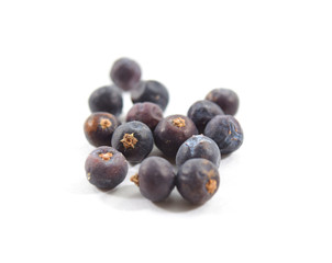 Macro of juniper berries