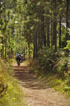 Cycling in National Park, Thailand