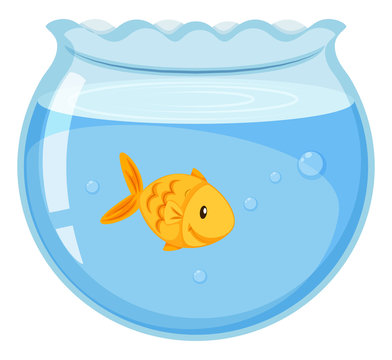 Goldfish swimming in the glass bowl