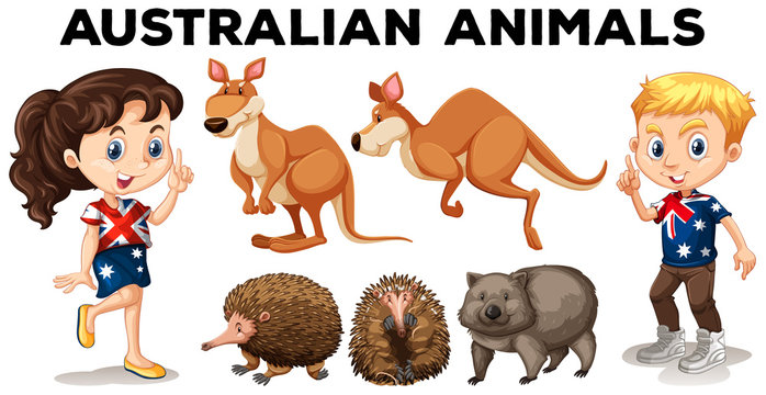 Set of Australian wild animals