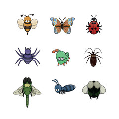 insect illustration design collection