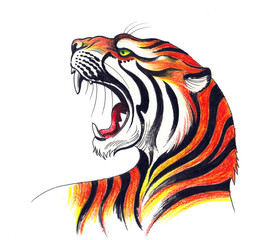 Furious Tiger