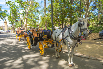 Naklejka na ściany i meble The typical old carriage drawn by a white horse stopped in the park of Plaza de Espana in Seville, Andalusia, Spain.