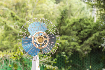 Old Fan