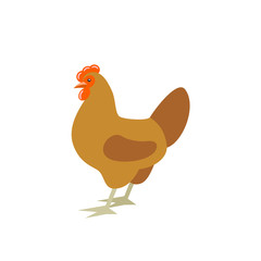 Cartoon chicken