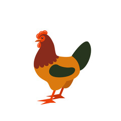 Cartoon rooster