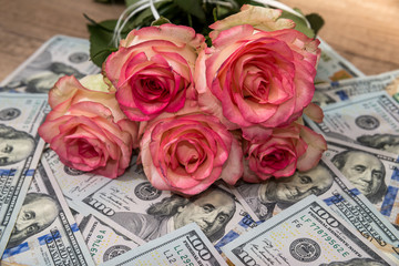 koral  roses with dollars © RomanR