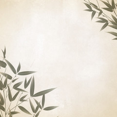 Chinese bamboo painted with a brush on the old paper. Vector illustration.