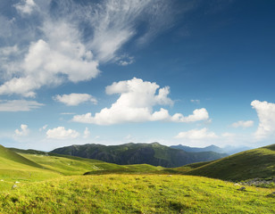 Pasture in mountain valley. Agriculture landscape in the summer time