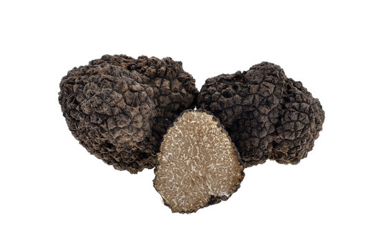 Fresh black truffle isolated on white background