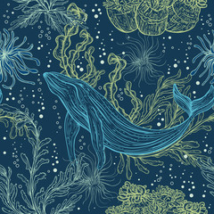 Fototapeta premium Seamless pattern with whale, marine plants and seaweeds.Vintage hand drawn marine life. Vector illustration