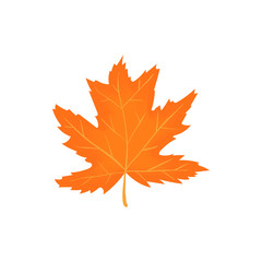 Fototapeta premium Autumn leaf icon in cartoon style isolated on white background. Plant symbol