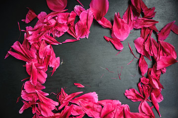 dry leaves peonies on the black background