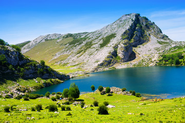 Naklejka na ściany i meble mountains landscape with lake and pasture