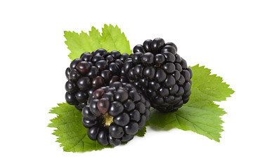 Three fresh blackberries with leaves isolated