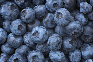 Blueberries texture