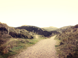 Lonely footpath through a beach dune landscape on Sylt. 