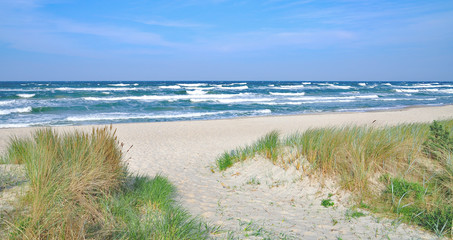 Obrazy na Plexi  Plaża i smagane wiatrem Morze Bałtyckie w nadmorskim kurorcie Baabe na wyspie Rugia, Morze Bałtyckie, Meklemburgia-Pomorze Przednie, Niemcy