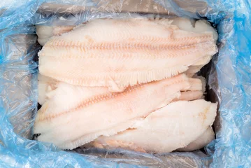 Keuken foto achterwand Vis bevroren vis