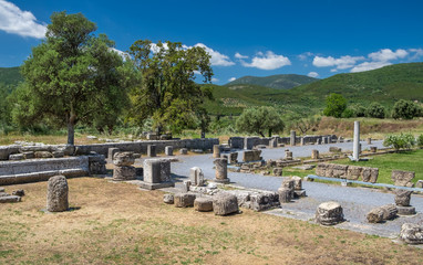 Fototapeta na wymiar Ancient Messini, Messenien, Peloponnes, Griechenland. 16101.jpg