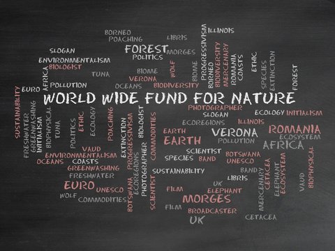 World Wide Fund For Nature