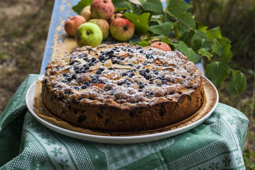 pie with apples and blueberries