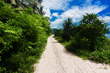 Coastal path along beautiful sandy beach in Jastrzebia Gora village, Baltic Sea, Poland