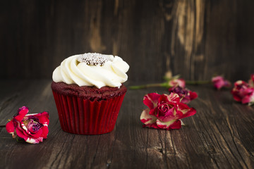 Red velvet cupcake over wooden background