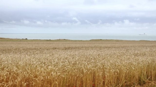 battre avant la pluie