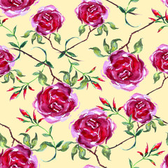 Vintage watercolor floral pattern. Seamless background. Pink and red roses, leaves.