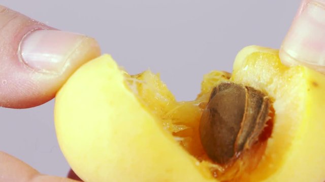 Ripping fresh apricot in half with hands slow motion extreme close-up