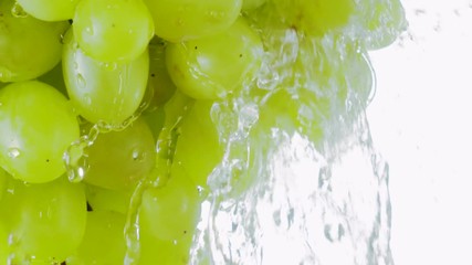 Pouring water over seedless ripe green grapes on white background close-up slow motion - Powered by Adobe