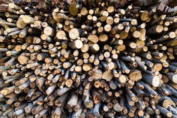 background stack of fire wood