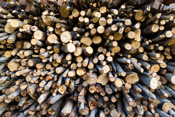 background stack of fire wood