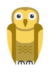 Cartoon owl vector