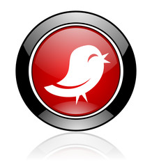 Red round vector icon