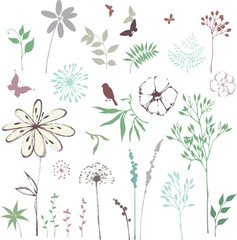 Naklejki  Ręcznie rysowane kwiatowy zestaw z liści, kwiatów, mniszka lekarskiego, trawy, ptaków i motyli.