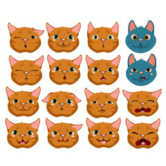 Cats expressing emotions, set on white background